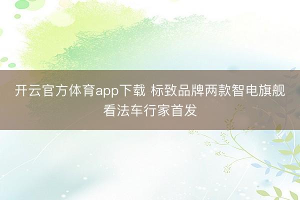 开云官方体育app下载 标致品牌两款智电旗舰看法车行家首发